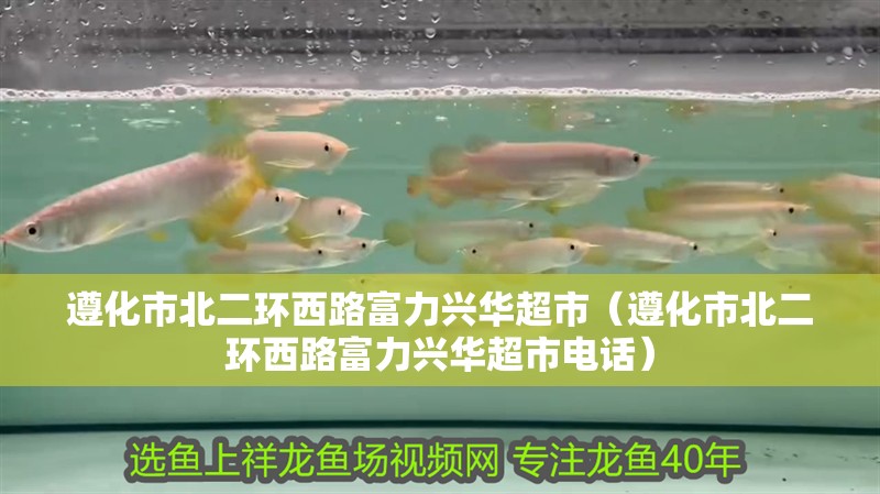 遵化市北二環西路富力興華超市（遵化市北二環西路富力興華超市電話） 遵化市北二環西路富力興華超市（遵化市北二環西路富力興華超市電話） 全國水族館企業名錄 第2張