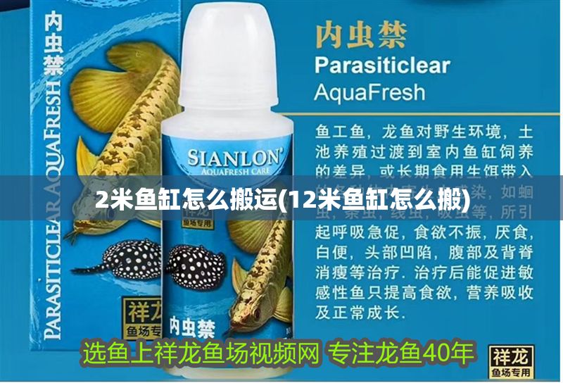 2米魚缸怎么搬運(12米魚缸怎么搬)