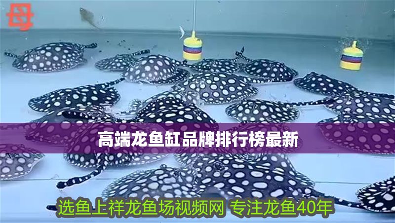高端龍魚缸品牌排行榜最新