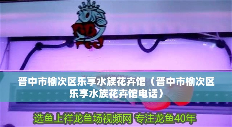 晉中市榆次區(qū)樂享水族花卉館（晉中市榆次區(qū)樂享水族花卉館電話）