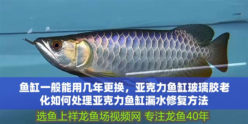 魚缸一般能用幾年更換，亞克力魚缸玻璃膠老化如何處理亞克力魚缸漏水修復方法