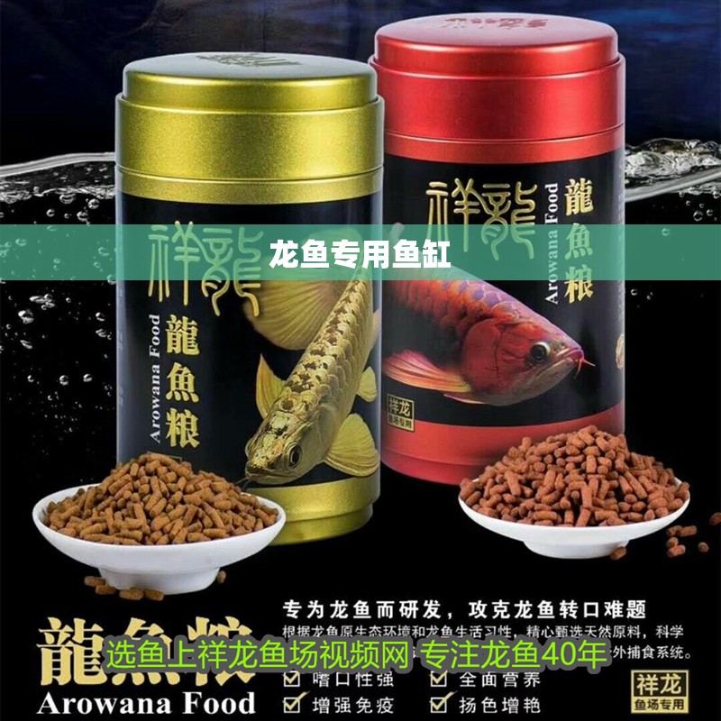 龍魚專用魚缸 龍魚專用魚缸 龍魚百科 第4張