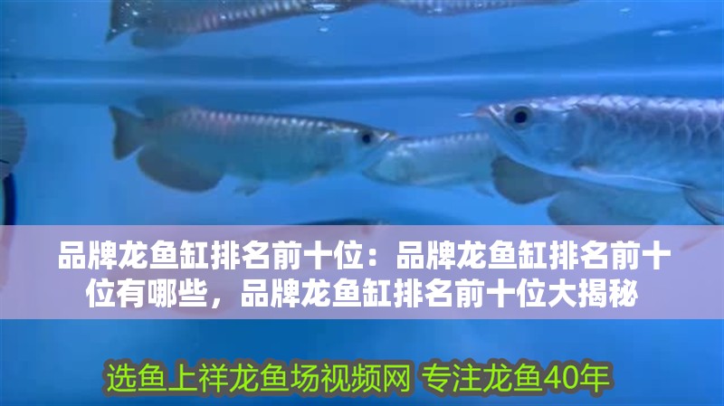 品牌龍魚缸排名前十位：品牌龍魚缸排名前十位有哪些，品牌龍魚缸排名前十位大揭秘