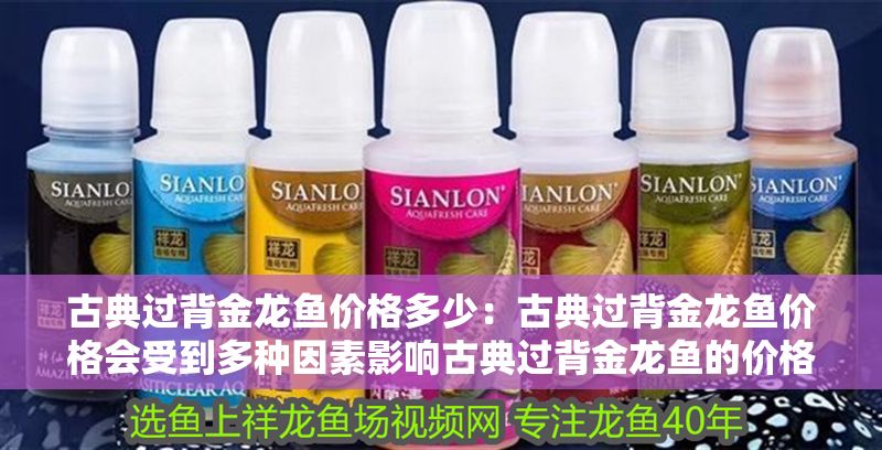 古典過(guò)背金龍魚(yú)價(jià)格多少：古典過(guò)背金龍魚(yú)價(jià)格會(huì)受到多種因素影響古典過(guò)背金龍魚(yú)的價(jià)格