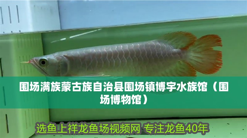 圍場滿族蒙古族自治縣圍場鎮博宇水族館（圍場博物館） 圍場滿族蒙古族自治縣圍場鎮博宇水族館（圍場博物館） 全國水族館企業名錄 第2張
