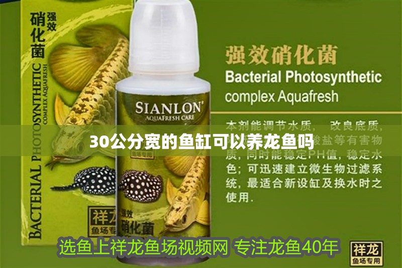 30公分寬的魚缸可以養龍魚嗎