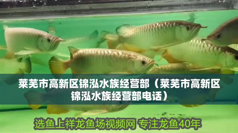 萊蕪市高新區錦泓水族經營部（萊蕪市高新區錦泓水族經營部電話）