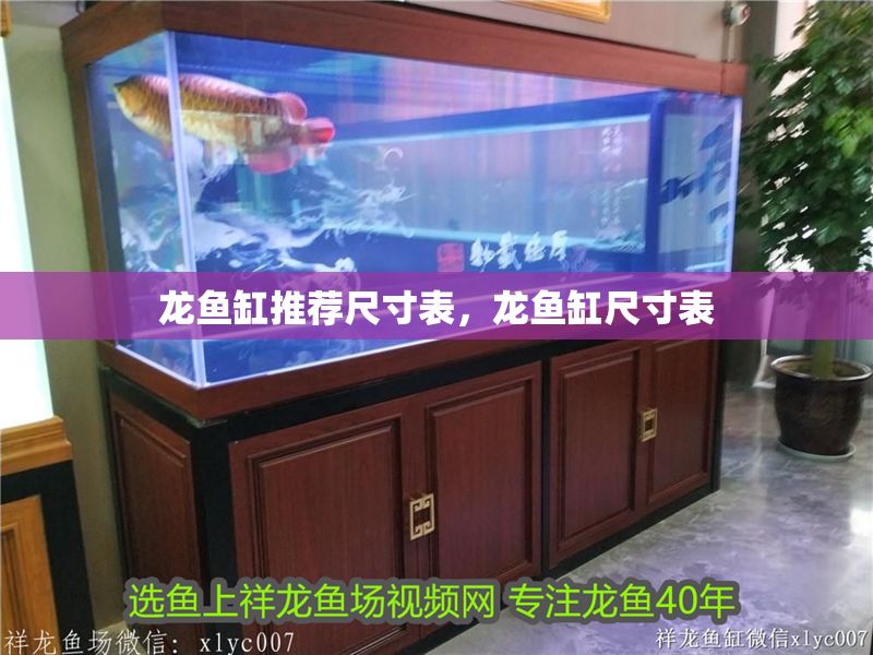 龍魚缸推薦尺寸表，龍魚缸尺寸表