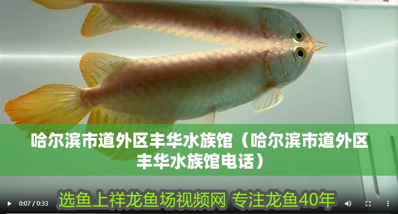 哈爾濱市道外區豐華水族館（哈爾濱市道外區豐華水族館電話） 哈爾濱市道外區豐華水族館（哈爾濱市道外區豐華水族館電話） 全國水族館企業名錄 第2張