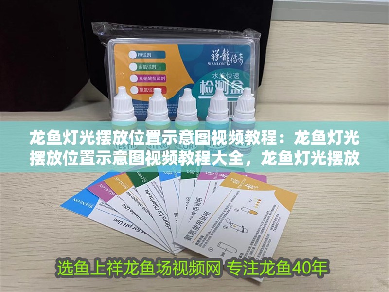 龍魚燈光擺放位置示意圖視頻教程：龍魚燈光擺放位置示意圖視頻教程大全，龍魚燈光擺放位置示意圖視頻教程，全方位解析與演示