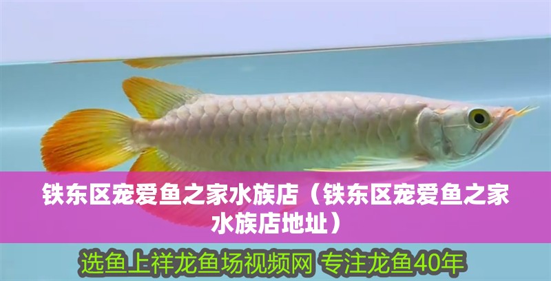 鐵東區寵愛魚之家水族店（鐵東區寵愛魚之家水族店地址）