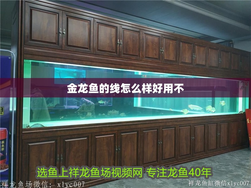 金龍魚的線怎么樣好用不