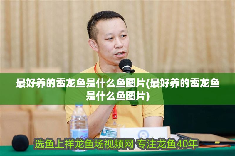 最好養(yǎng)的雷龍魚是什么魚圖片(最好養(yǎng)的雷龍魚是什么魚圖片) 銀龍魚百科 第1張 最好養(yǎng)的雷龍魚是什么魚圖片(最好養(yǎng)的雷龍魚是什么魚圖片) 最好養(yǎng)的雷龍魚是什么魚圖片(最好養(yǎng)的雷龍魚是什么魚圖片) 銀龍魚百科 第1張