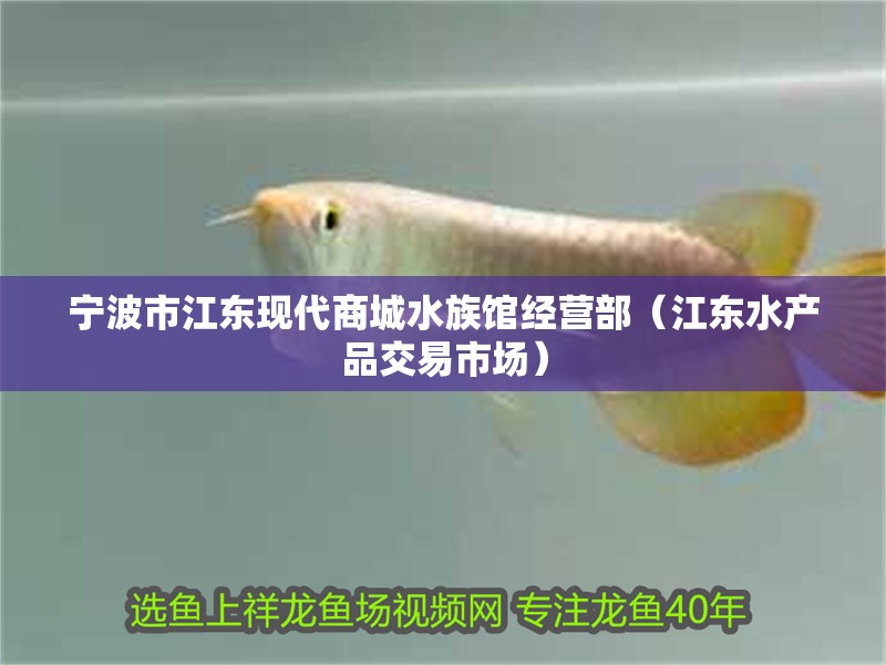 寧波市江東現代商城水族館經營部（江東水產品交易市場） 寧波市江東現代商城水族館經營部（江東水產品交易市場） 全國水族館企業名錄 第2張