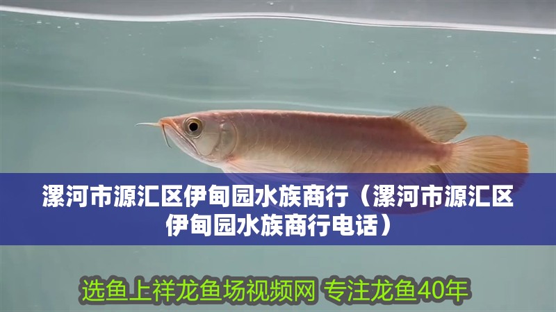 漯河市源匯區伊甸園水族商行（漯河市源匯區伊甸園水族商行電話） 漯河市源匯區伊甸園水族商行（漯河市源匯區伊甸園水族商行電話） 全國水族館企業名錄 第2張