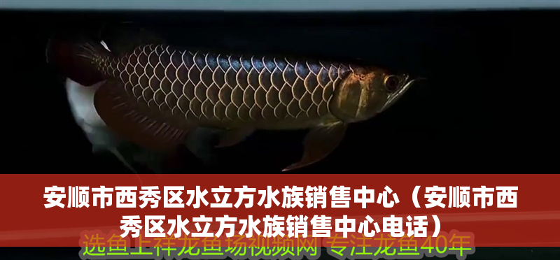安順市西秀區(qū)水立方水族銷售中心（安順市西秀區(qū)水立方水族銷售中心電話） 安順市西秀區(qū)水立方水族銷售中心（安順市西秀區(qū)水立方水族銷售中心電話） 全國水族館企業(yè)名錄 第2張