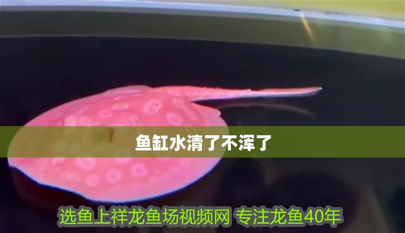 魚缸水清了不渾了