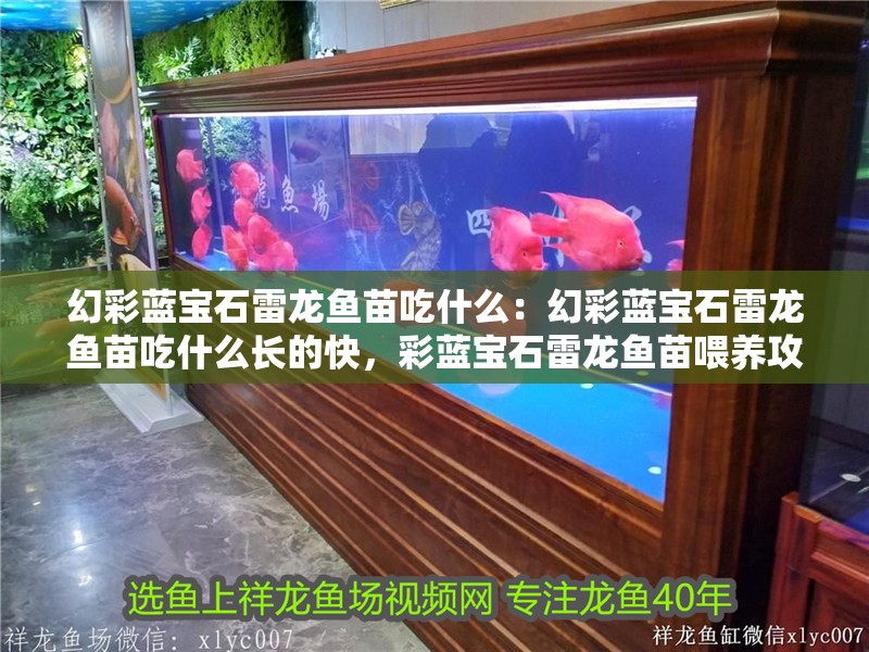 幻彩藍(lán)寶石雷龍魚苗吃什么：幻彩藍(lán)寶石雷龍魚苗吃什么長(zhǎng)的快，彩藍(lán)寶石雷龍魚苗喂養(yǎng)攻略，促生長(zhǎng)食物全解析
