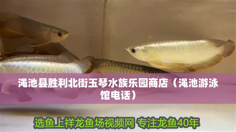 澠池縣勝利北街玉琴水族樂園商店（澠池游泳館電話）