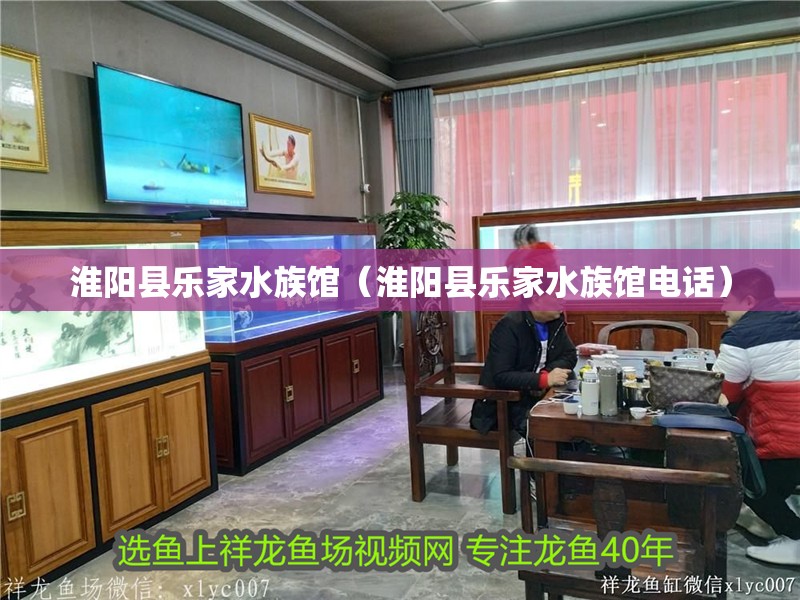 淮陽縣樂家水族館（淮陽縣樂家水族館電話） 淮陽縣樂家水族館（淮陽縣樂家水族館電話） 全國水族館企業(yè)名錄 第2張