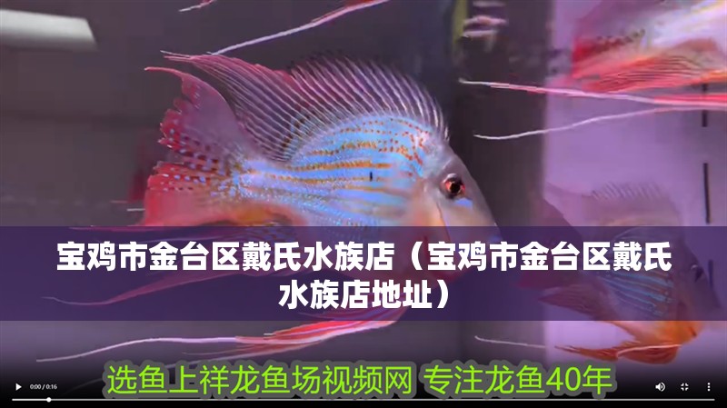寶雞市金臺區戴氏水族店（寶雞市金臺區戴氏水族店地址）
