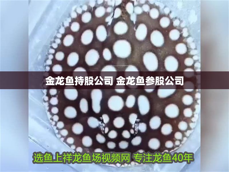 金龍魚持股公司 金龍魚參股公司 金龍魚持股公司 金龍魚參股公司 銀龍魚百科 第1張