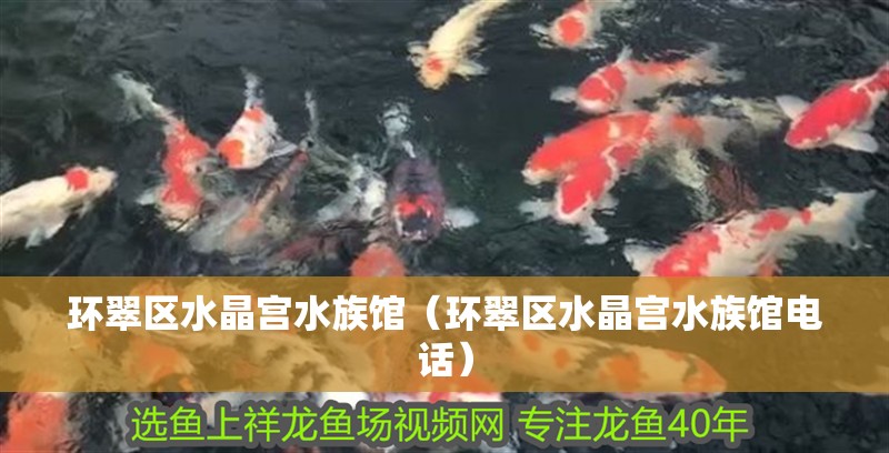 環(huán)翠區(qū)水晶宮水族館（環(huán)翠區(qū)水晶宮水族館電話）