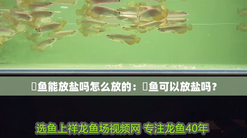 魟魚能放鹽嗎怎么放的：魟魚可以放鹽嗎？
