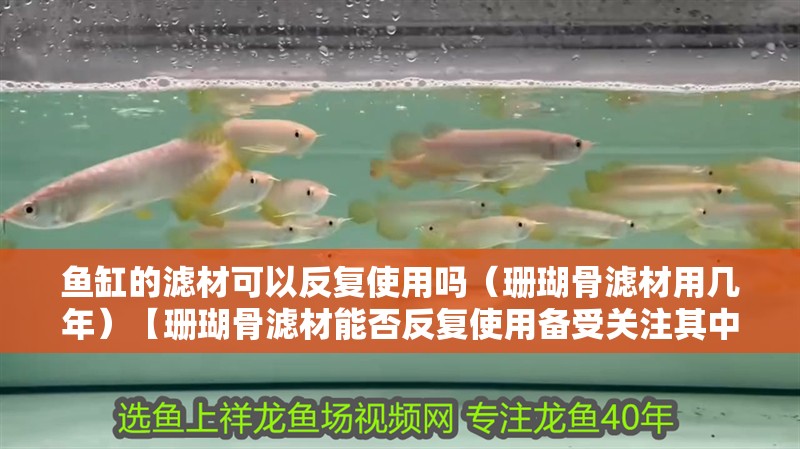 魚缸的濾材可以反復使用嗎（珊瑚骨濾材用幾年）【珊瑚骨濾材能否反復使用備受關注其中珊瑚骨濾材的使用時長】