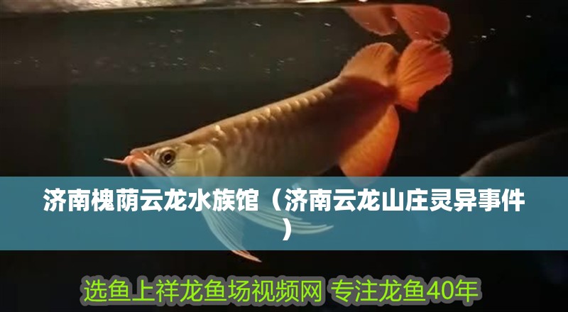 濟(jì)南槐蔭云龍水族館（濟(jì)南云龍山莊靈異事件） 濟(jì)南槐蔭云龍水族館（濟(jì)南云龍山莊靈異事件） 全國水族館企業(yè)名錄 第2張