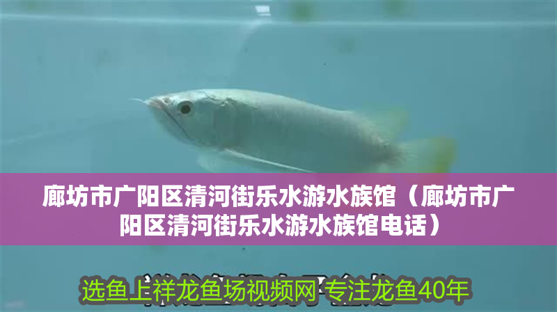 廊坊市廣陽區(qū)清河街樂水游水族館（廊坊市廣陽區(qū)清河街樂水游水族館電話）