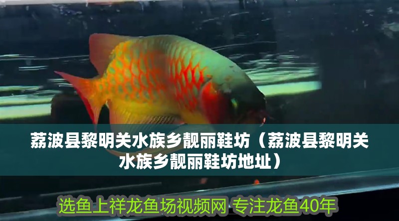 荔波縣黎明關(guān)水族鄉(xiāng)靚麗鞋坊（荔波縣黎明關(guān)水族鄉(xiāng)靚麗鞋坊地址）