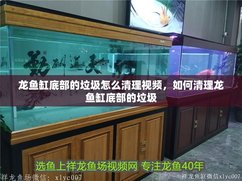 龍魚缸底部的垃圾怎么清理視頻，如何清理龍魚缸底部的垃圾