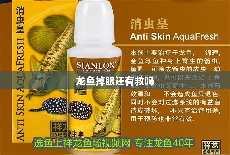 龍魚掉眼還有救嗎