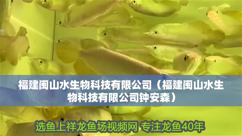 福建閩山水生物科技有限公司（福建閩山水生物科技有限公司鐘安森） 福建閩山水生物科技有限公司（福建閩山水生物科技有限公司鐘安森） 全國水族館企業(yè)名錄 第2張