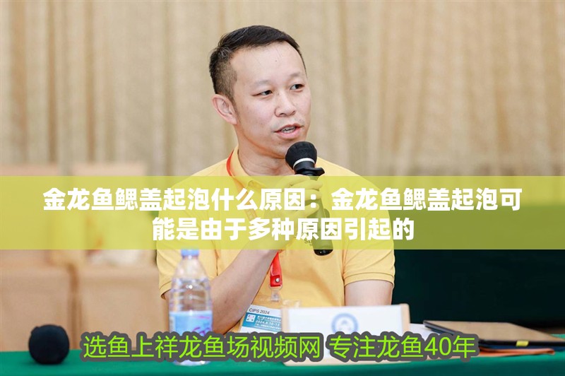 金龍魚鰓蓋起泡什么原因：金龍魚鰓蓋起泡可能是由于多種原因引起的 金龍魚鰓蓋起泡什么原因：金龍魚鰓蓋起泡可能是由于多種原因引起的 龍魚百科