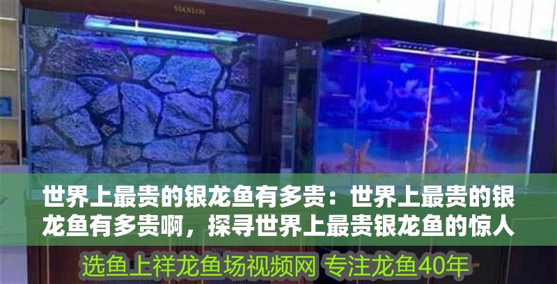世界上最貴的銀龍魚有多貴：世界上最貴的銀龍魚有多貴啊，探尋世界上最貴銀龍魚的驚人價格