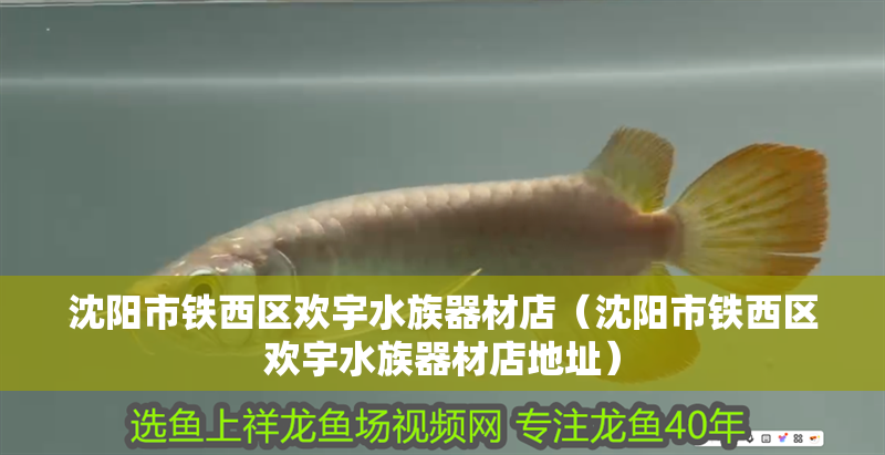 沈陽市鐵西區歡宇水族器材店（沈陽市鐵西區歡宇水族器材店地址）