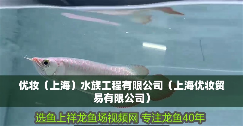 優(yōu)妝（上海）水族工程有限公司（上海優(yōu)妝貿(mào)易有限公司） 優(yōu)妝（上海）水族工程有限公司（上海優(yōu)妝貿(mào)易有限公司） 全國水族館企業(yè)名錄 第2張