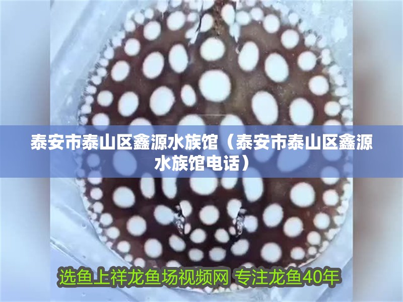泰安市泰山區鑫源水族館（泰安市泰山區鑫源水族館電話）