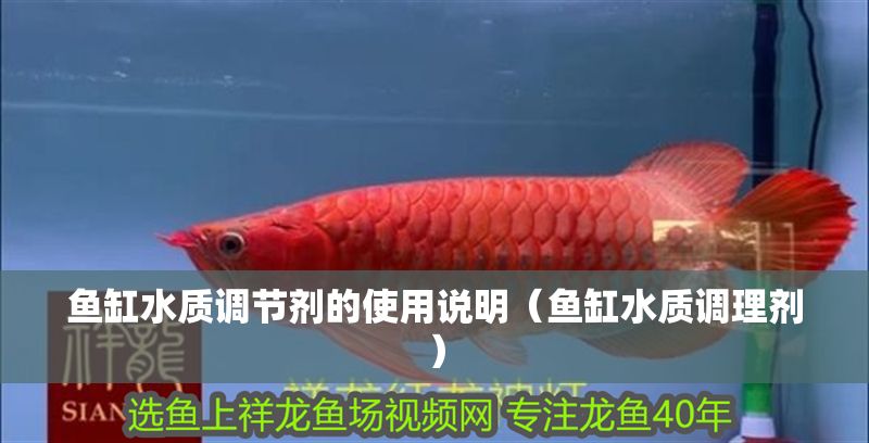 魚缸水質調節劑的使用說明（魚缸水質調理劑）