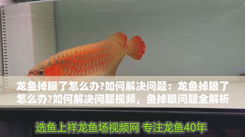 龍魚掉眼了怎么辦?如何解決問題：龍魚掉眼了怎么辦?如何解決問題視頻，魚掉眼問題全解析，原因、