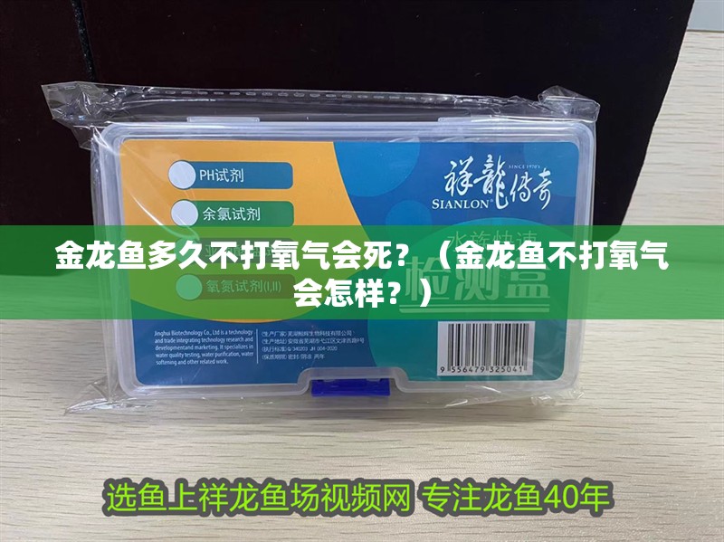 什么魚能和龍魚、虎魚混養(yǎng)(龍魚能和虎魚混養(yǎng)嗎) 金龍魚多久不打氧氣會死?(金龍魚不打氧氣會怎樣?) 龍魚百科 金龍魚多久不打氧氣會死?(金龍魚不打氧氣會怎樣?) 金龍魚多久不打氧氣會死?(金龍魚不打氧氣會怎樣?) 龍魚百科