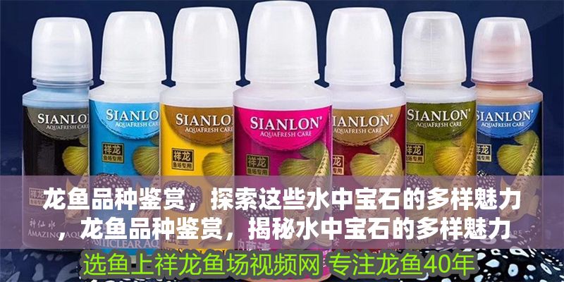 龍魚品種鑒賞，探索這些水中寶石的多樣魅力，龍魚品種鑒賞，揭秘水中寶石的多樣魅力