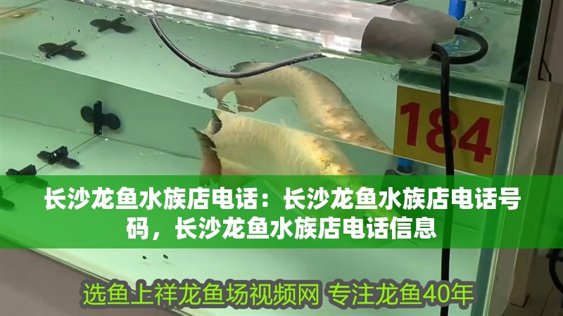 長沙龍魚水族店電話：長沙龍魚水族店電話號碼，長沙龍魚水族店電話信息