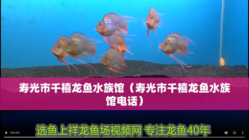 壽光市千禧龍魚水族館（壽光市千禧龍魚水族館電話）