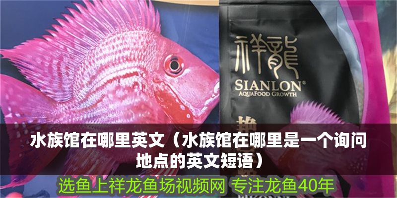 水族館在哪里英文(水族館在哪里是一個詢問地點的英文短語) 水族館百科(水族館加盟) 第1張 水族館在哪里英文(水族館在哪里是一個詢問地點的英文短語) 水族館在哪里英文(水族館在哪里是一個詢問地點的英文短語) 水族館百科(水族館加盟) 第1張