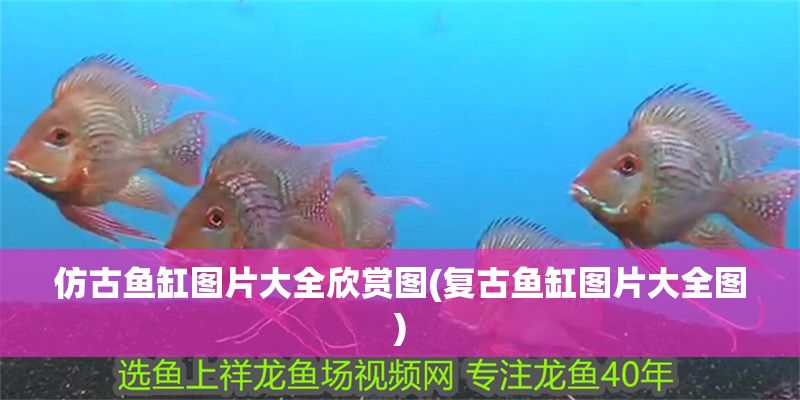 仿古魚缸圖片大全欣賞圖(復古魚缸圖片大全圖) 仿古魚缸圖片大全欣賞圖(復古魚缸圖片大全圖) 元寶鳳凰魚百科 第1張