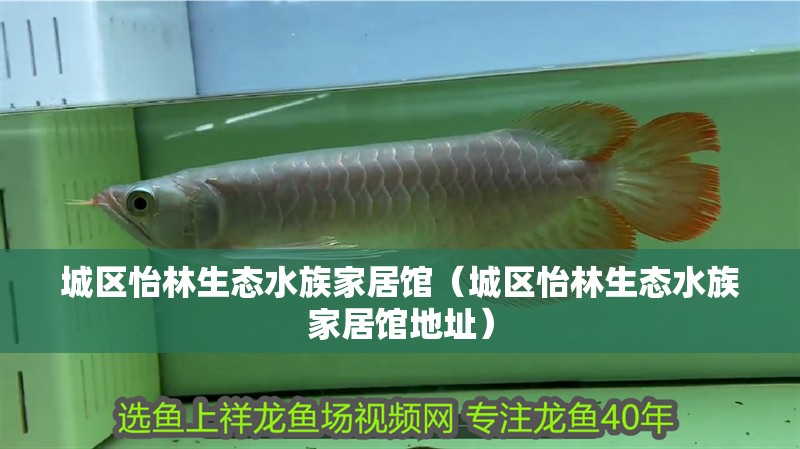 城區怡林生態水族家居館（城區怡林生態水族家居館地址）