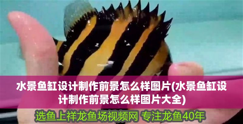水景魚缸設計制作前景怎么樣圖片(水景魚缸設計制作前景怎么樣圖片大全)